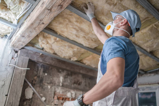 Best Insulation Maintenance and Repair in Shelby, MS