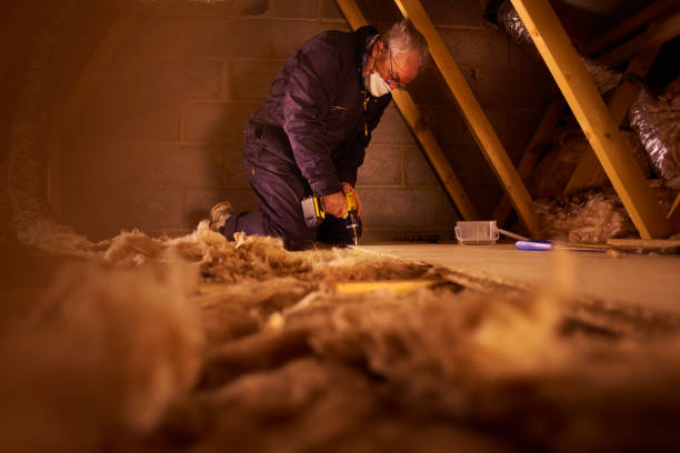 Best Spray Foam Insulation in Shelby, MS