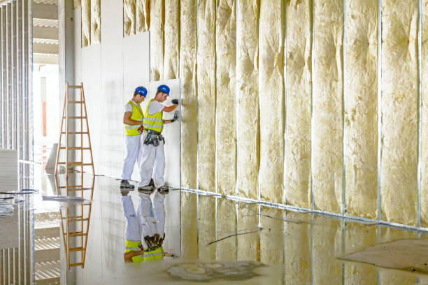 Best Fiberglass Insulation in Shelby, MS